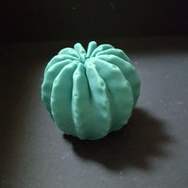 수제몰드 선인장몰드[모음](선택), 10번