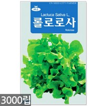 청농종묘 봄무 씨앗 5g 무씨앗 무씨 봄무씨앗 봄무씨 채소씨앗 무 무우, 13_롤로로사(3000립)