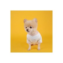 구름 돌고래 올인원-다솜