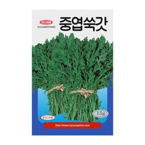 경신종묘 쑥갓씨앗 중엽쑥갓 15g