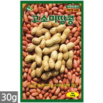 청농종묘 황백 초당옥수수 씨앗 100립 초당옥수수씨앗 옥수수씨앗 초당옥수수씨 옥수수씨, 04_고소미땅콩(30g)