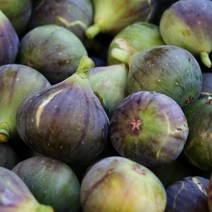 [캔들이케아] USA 휘기에 프래그런스 오일((D Type)무화과향 캔들 디퓨저 석고방향제재료, 1L