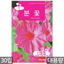 청농종묘 봉선화 씨앗 500립 봉선화씨앗 봉숭아씨앗 꽃씨앗 꽃 꽃씨 야생화씨앗 야생화 야생꽃씨, 09_대용량_분꽃(30립)