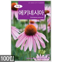 에키네시아 씨앗 100립 / 허브씨앗 에키네시아씨앗 허브씨 허브 여름꽃씨 씨, 17_허브_히솝(200립)