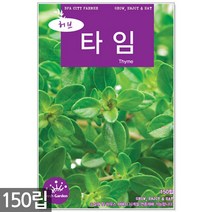 루 씨앗 150립 / 허브씨앗 루씨앗 허브씨 허브 루씨 화초씨앗, 15_허브_타임(150립)