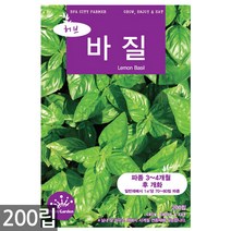 마조람 씨앗 300립 / 허브씨앗 마조람씨앗 허브씨 허브 마조람씨 씨, 07_허브_바질(200립)