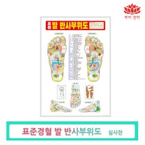 루비경락 경혈부위도-마사지 도구 피부관리실 에스테틱, 발반사분포도, 1개