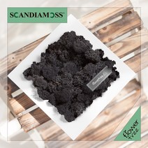 미세먼지 철벽방어! 실내공기정화식물 스칸디아모스 모음 천연이끼, 21.정사각스칸디아액자set 20cmP-블랙
