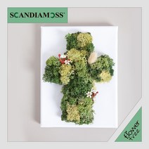 미세먼지 철벽방어! 실내공기정화식물 스칸디아모스 모음 천연이끼, 33.스칸디아십자가액자set(이젤+전구)20cmP-그린(전구-웜)
