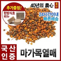 장미농원 봄 꽃모종 초화 꽃 식물 종류 총집합!!, 1개, 마가렛