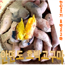 (주)새별 호박고구마10kg, 호박고구마10kg(한입)