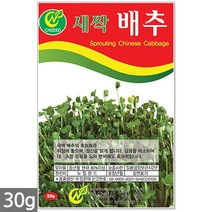 보리 새싹 씨앗 50g / 새싹씨앗 보리씨앗 보리새싹씨앗 새싹보리 보리씨 캣그라스 캣글라스 고양이풀, 11_새싹씨앗_배추(30g)