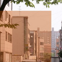 포커스더블유 자외선차단 99% 국산 썬팅지 17종, BR25