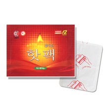 이세이브 (파스) 핫팩 50g (20개), 20개