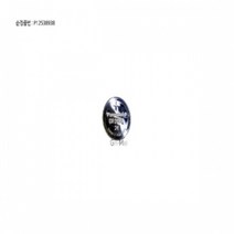 쉐보레B 캡티바 리모컨 키 배터리 CR2032 P12538938, 설명참조