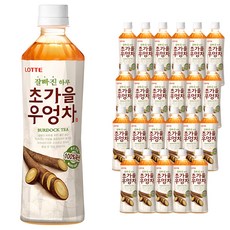 롯데 잘빠진 하루 초가을 우엉차, 500ml, 24개