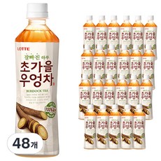 롯데 잘빠진 하루 초가을 우엉차, 500ml, 48개