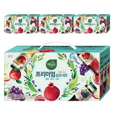 자연은 프리미엄 음료세트, 180ml, 48개