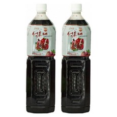 파낙스 참다음 석류 골드 음료베이스, 1.5L, 2개 - ghbass