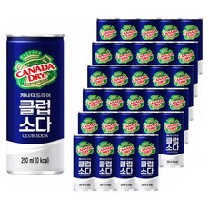 캐나다 드라이 클럽소다, 250ml, 30개 - 소다