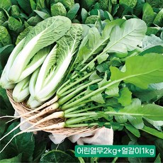 포천 어린열무1kg 1개 농가직송, 어린열무2Kg+얼갈이1Kg