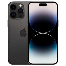 Apple 정품 아이폰 14 Pro Max 자급제, 스페이스블랙, 128GB