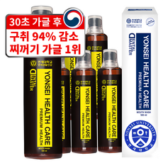 연세생활건강 세브란스케어 덴탈 마스터 가글, 500ml, 1개