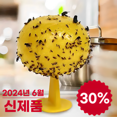 DY 초파리트랩 날파리끈끈이 나방 파리 초파리없애는법