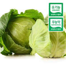 친환경 무농약 양배추 국내산 맛있는 양배추, 친환경 양배추 4kg, 1개