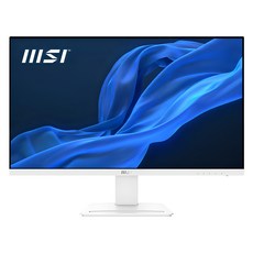 MSI FHD IPS 아이에르고 100Hz 모니터