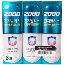 2080 진지발리스 허벌민트향 치약, 120g, 6개