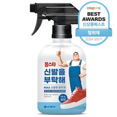 홈스타 신발을 부탁해 탈취제 본품, 500ml, 1개