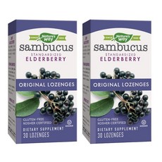 Nature's Way 然萃維 接骨木莓口含錠, 30顆, 2罐