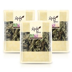 이집트산 몰로키아잎 100gx3개 몰로키아차, 1개, 300g