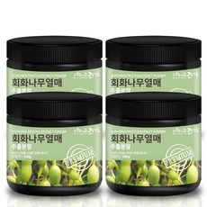 회화나무 열매 추출 분말 100g, 4개