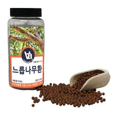 느릅나무환