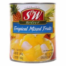 트로피칼야자수분수