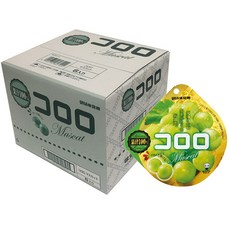 코로로망고