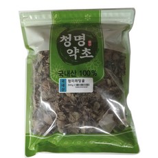 채소의미래