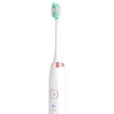 단미 음파 전동칫솔 클린케어 + 케이스 + 칫솔모 2p, DA-CL100(WHITE), 1개