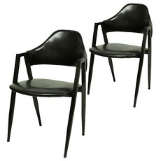 비에프컴퍼니 비올렛 철재 의자 2p, 블랙