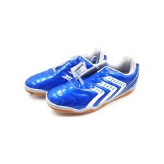 슬레진저풋살화