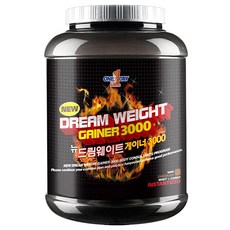 원데이뉴트리션 뉴 드림 웨이트 게이너 3000 헬스 보충제, 3kg, 1개