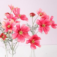 6a90ae7d-c132-4053-ab1b-a5762c4f616c.jpg
