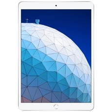Apple 2019년 iPad Air 10.5 3세대, Wi-Fi+Cellular, 256GB, Silver, LGU+ 유심 포함