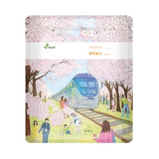 블루베리루이보스티백