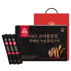 고려홍삼중앙회 6년근 고려홍삼정 투데이 녹용홍삼스틱 + 쇼핑백