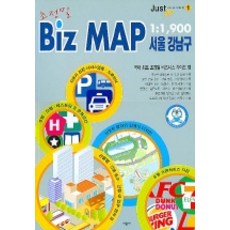 초정밀 Biz MAP 서울 강남구 : 1:1 900, 시공사