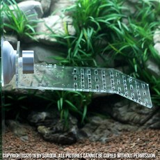 아쿠아후레쉬 아크릴 거북이 쉼터 18.5 x 12 6.3 cm, 투명, 1개
