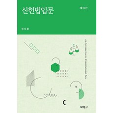 신헌법입문